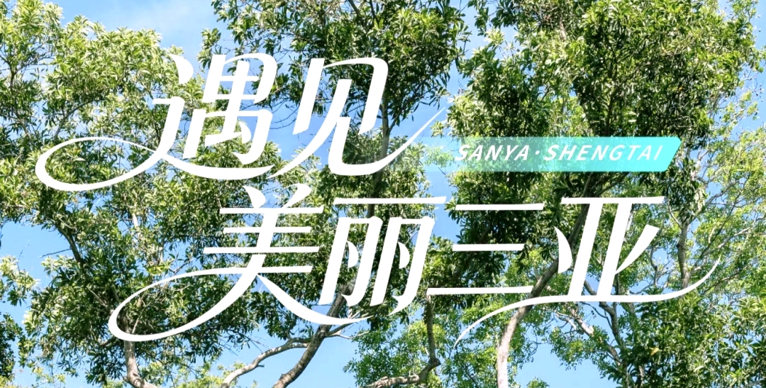 电波传声，全城参与！“遇见美丽三亚”随手拍征集活动火热进行中!