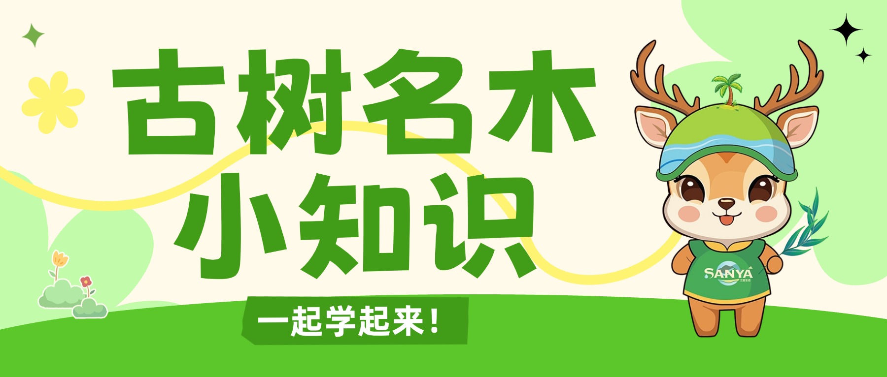 古树名木保护科普宣传周 | 守护“绿色国宝”，一起学起来→